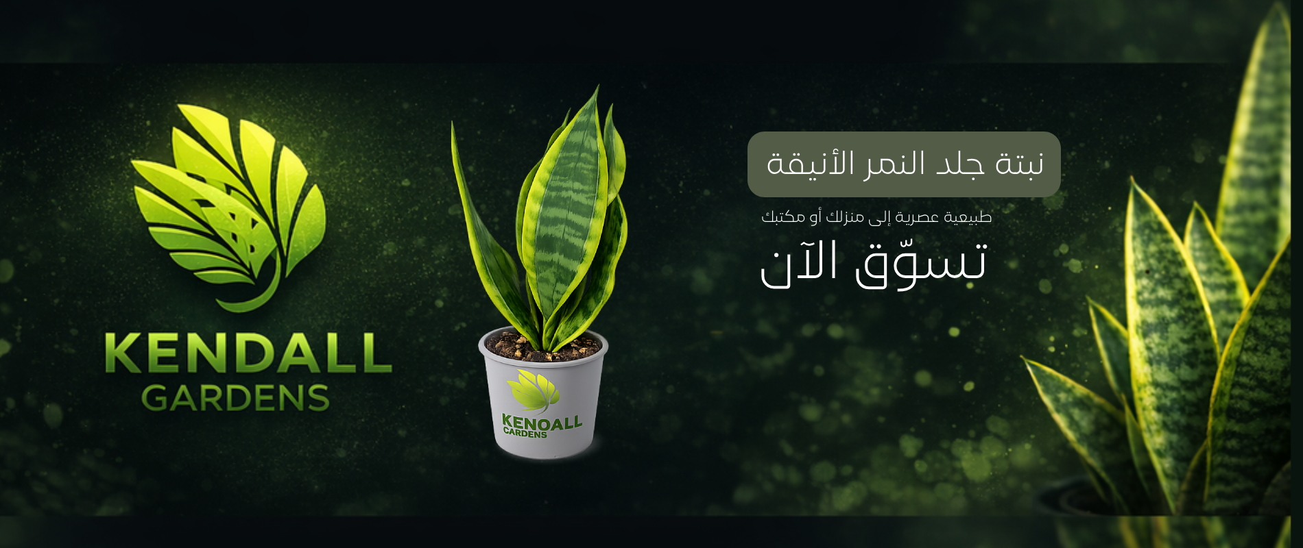 مشتل